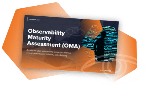 Observability Assessment_img_download page