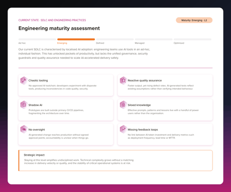 Engineering maturity assessment_Example 1