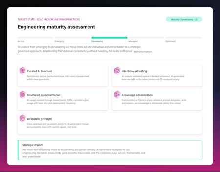 Engineering maturity assessment_Example 2