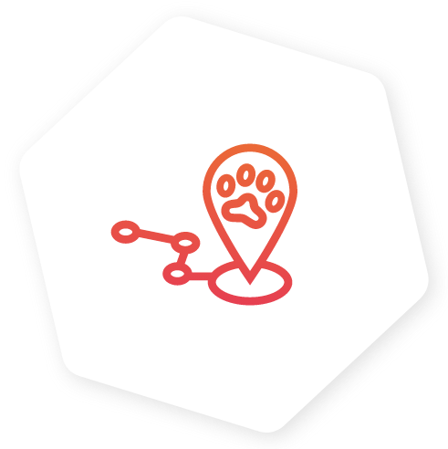 PitPat_hexagon PitPat_hexagon